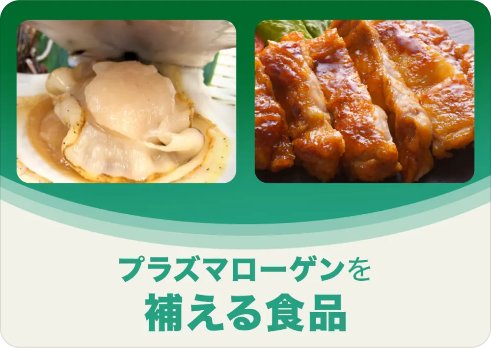 プラズマローゲンを補える食品